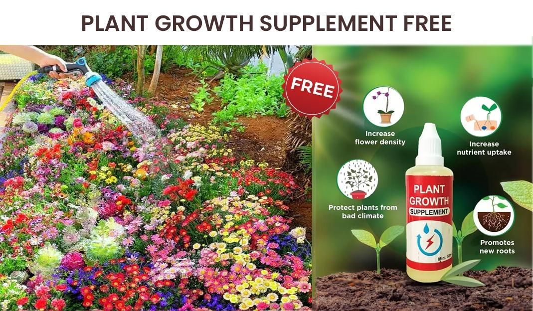 100 Premium Variety Flower Seeds + FREE Plant Growth Supplement