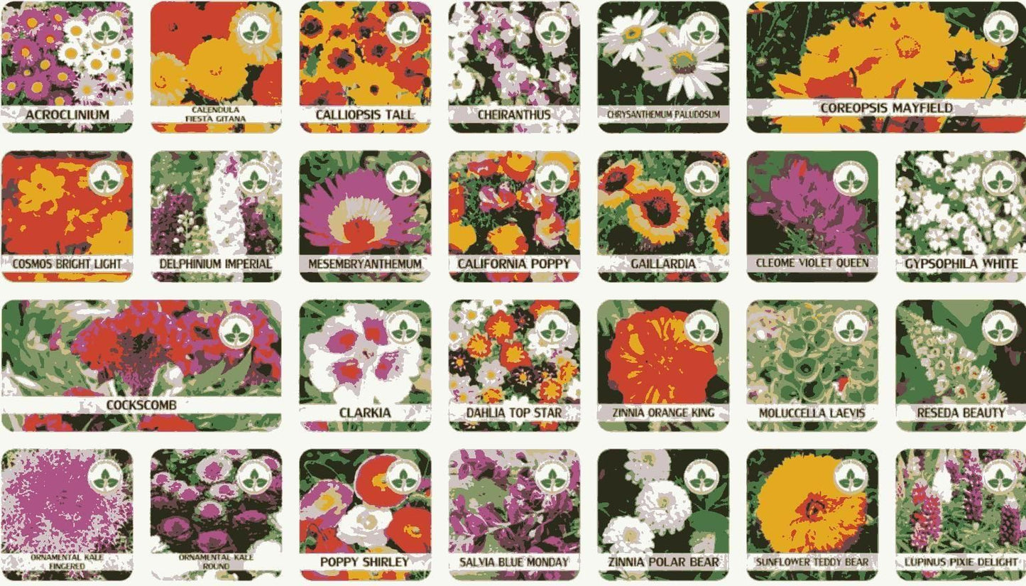 100 Premium Variety Flower Seeds + FREE Plant Growth Supplement